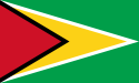 Guyana domain name check and buy Guyanise in domain names